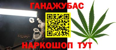 шишки Шахты