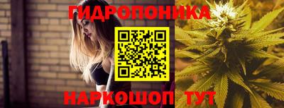 кокаин Шелехов