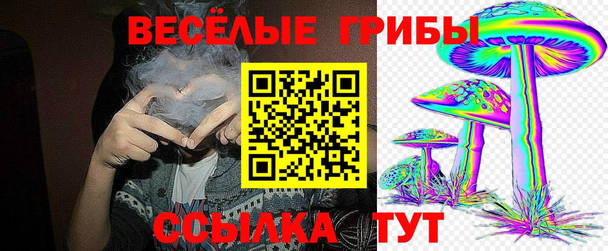 Ачхой-Мартан  Псилоцибиновые грибы мухоморы  Вход с VPN 